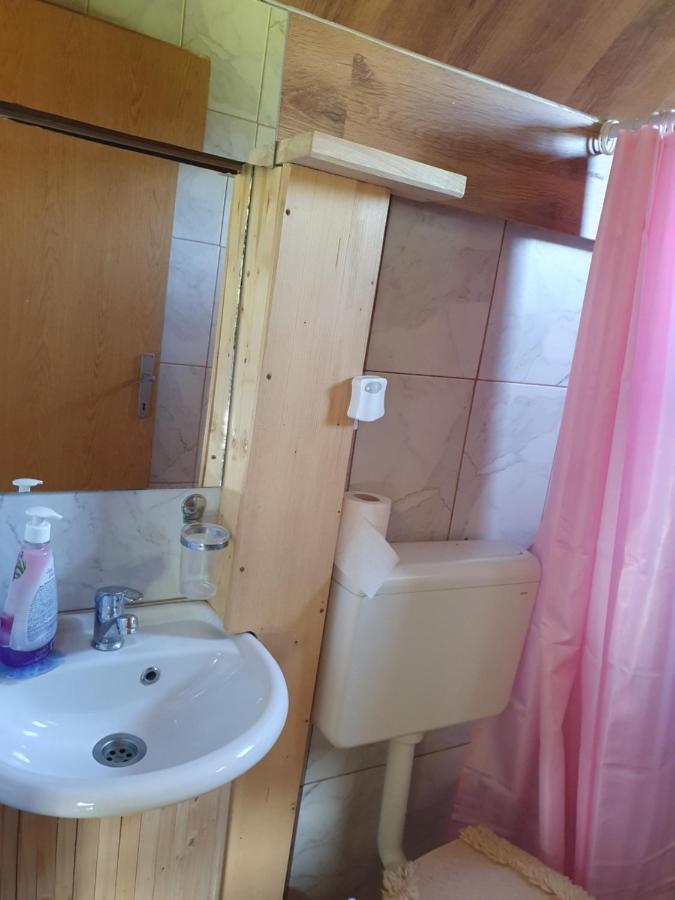 Planinska Koliba Ajdanovici Jelovac Nisicka Visoravan Olovo  Ngoại thất bức ảnh